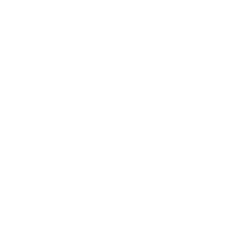 Logo negativo - Anaís Verenguer