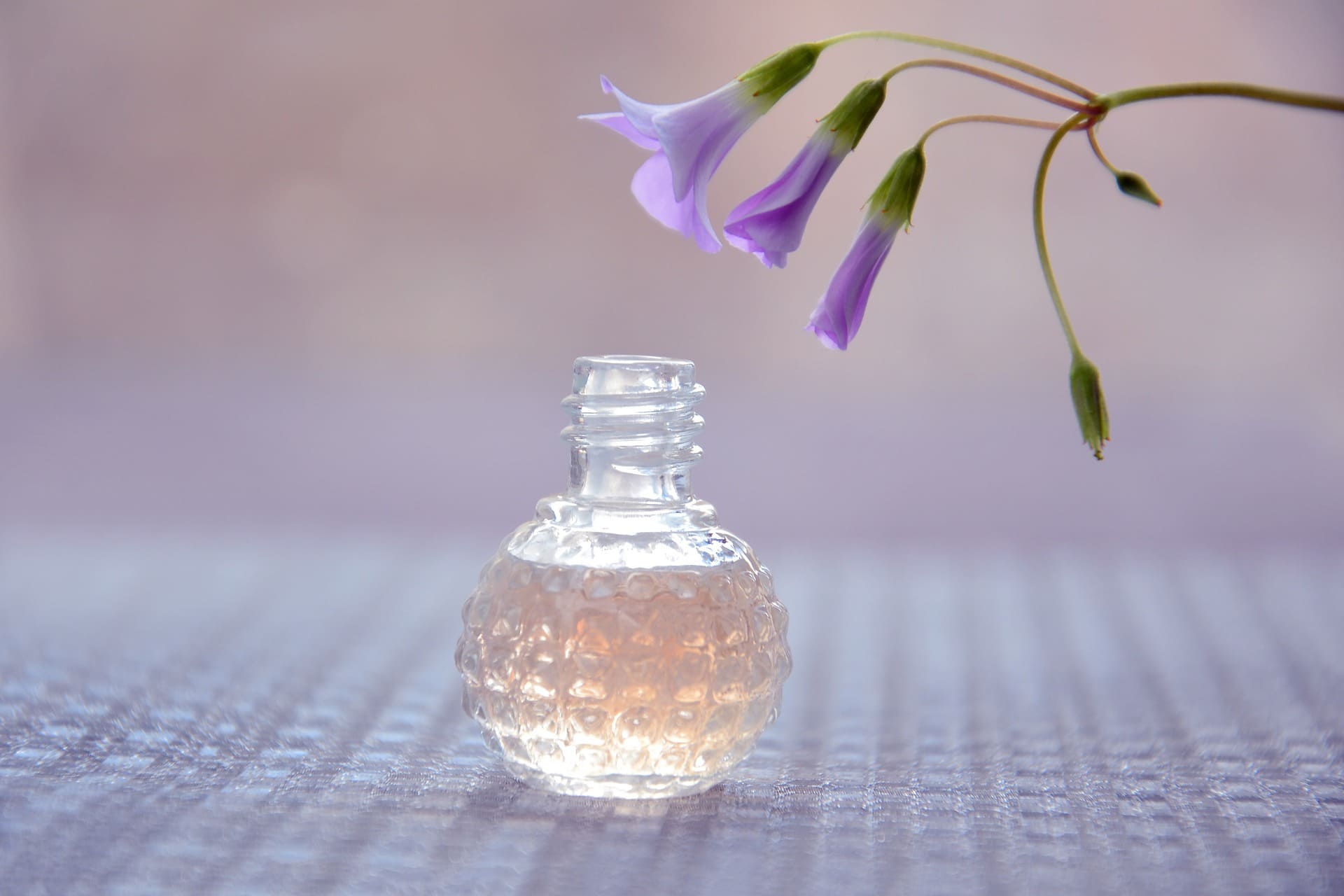 Aceites Sagrados Egipcios