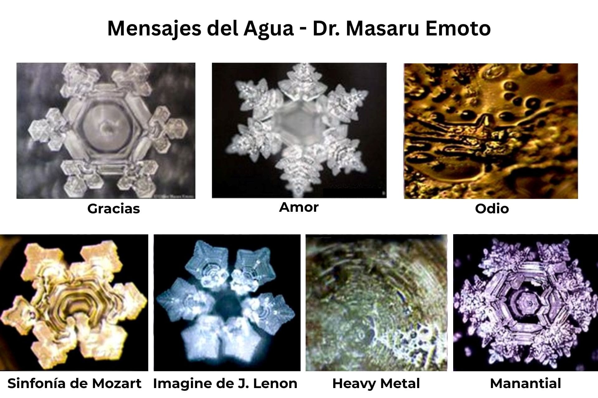 Masaru Emoto y el agua