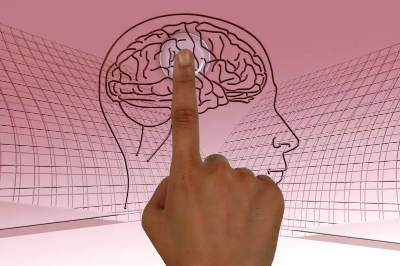 PROGRAMACIÓN NEUROLIGUÍSTICA PNL